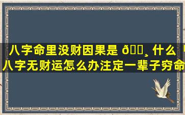 八字命里没财因果是 🕸 什么「八字无财运怎么办注定一辈子穷命吗」